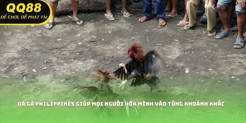 Đá gà Philippines giúp mọi người hòa mình vào từng khoảnh khắc