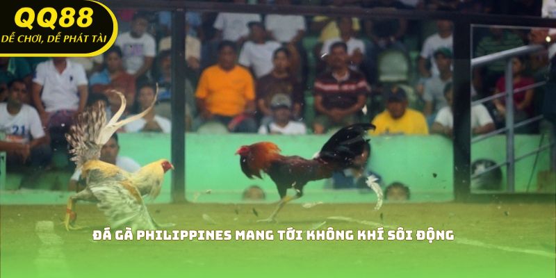 Đá gà Philippines mang tới không khí sôi động